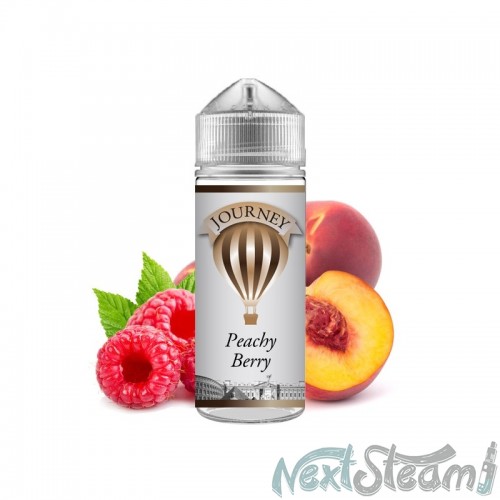 journey - peachy berry 24/120ml